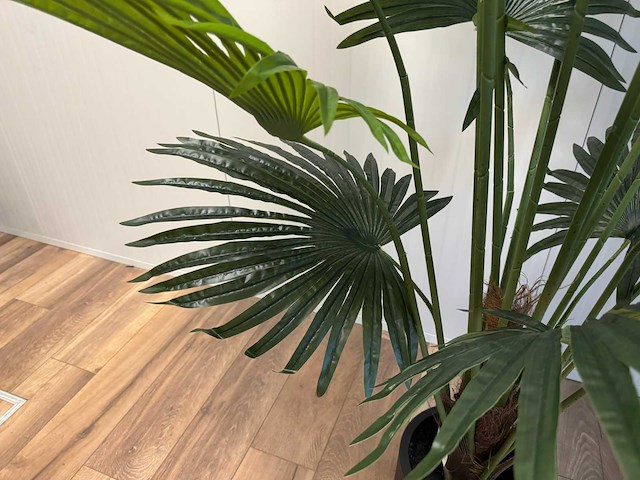 Real touch fan palm kunstplant (2x) (180cm hoog) - afbeelding 12 van  15