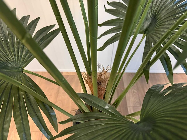 Real touch fan palm kunstplant (2x) (180cm hoog) - afbeelding 4 van  15