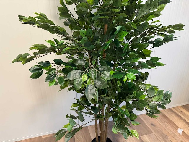 Real touch ficus kunstplant (210cm hoog) - afbeelding 10 van  14