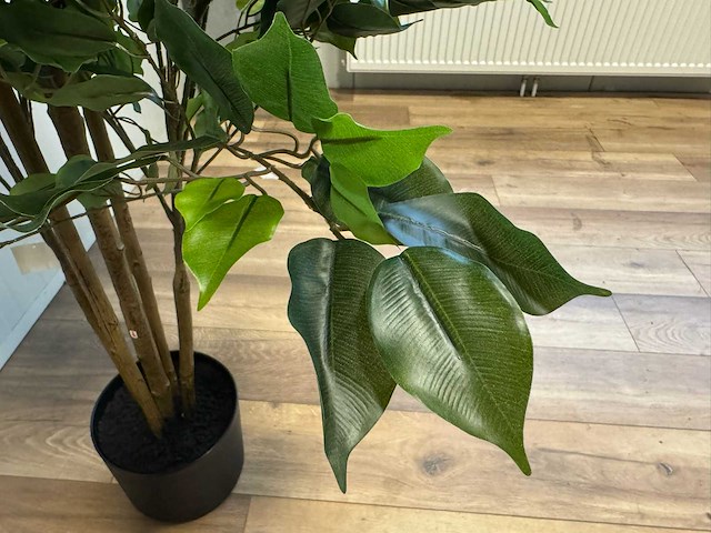 Real touch ficus kunstplant (210cm hoog) - afbeelding 14 van  14