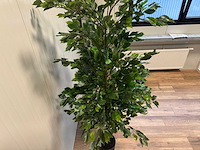 Real touch ficus kunstplant (210cm hoog) - afbeelding 12 van  14