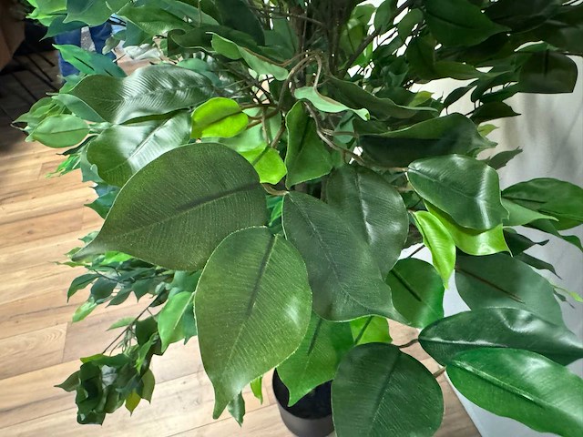 Real touch ficus kunstplant (210cm hoog) - afbeelding 3 van  14