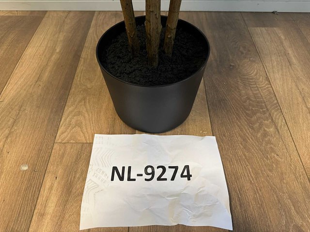Real touch ficus kunstplant (210cm hoog) - afbeelding 6 van  14