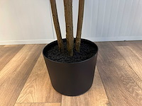 Real touch ficus kunstplant (2x) (210cm hoog) - afbeelding 5 van  14