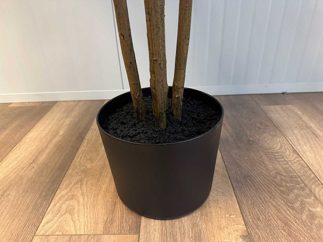 Real touch ficus kunstplant (2x) (210cm hoog) - afbeelding 5 van  14