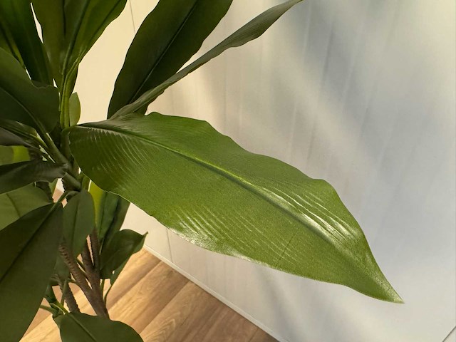 Real touch green dracaena kunstplant (200cm hoog) - afbeelding 9 van  12