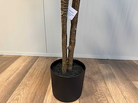 Real touch green dracaena kunstplant (200cm hoog) - afbeelding 3 van  12
