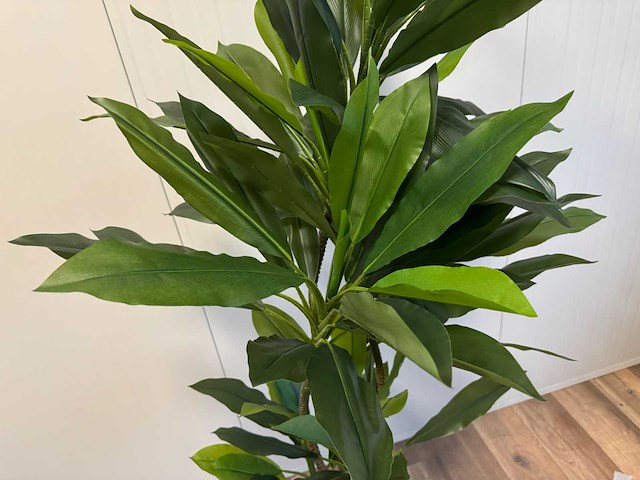 Real touch green dracaena kunstplant (2x) (200cm hoog) - afbeelding 2 van  12