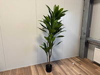Real touch green dracaena kunstplant (2x) (200cm hoog) - afbeelding 5 van  12