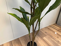 Real touch green dracaena kunstplant (2x) (200cm hoog) - afbeelding 6 van  12
