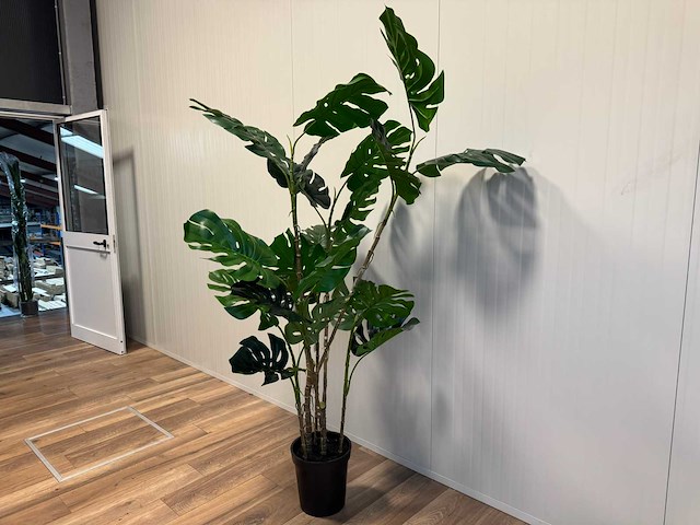 Real touch monstera kunstplant (190cm hoog) - afbeelding 11 van  16