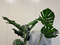 Real touch monstera kunstplant (190cm hoog) - afbeelding 16 van  16