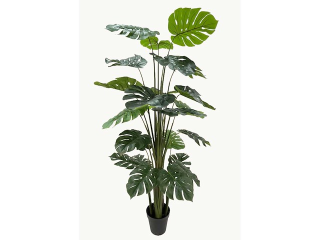 Real touch monstera kunstplant (215cm hoog) - afbeelding 6 van  13