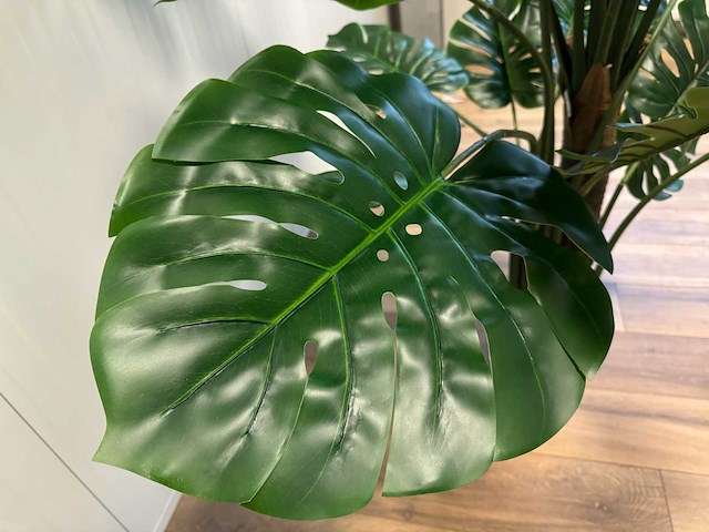 Real touch monstera kunstplant (215cm hoog) - afbeelding 2 van  13