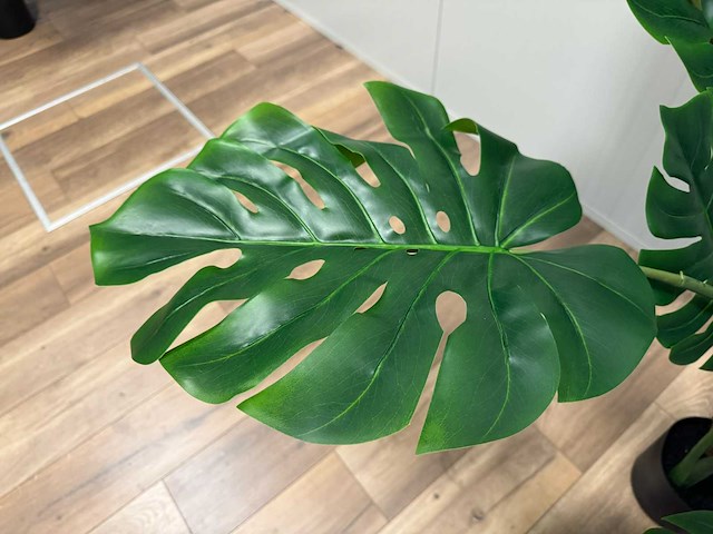 Real touch monstera kunstplant (2x) (160cm hoog) - afbeelding 2 van  13