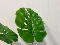 Real touch monstera kunstplant (2x) (160cm hoog) - afbeelding 12 van  13
