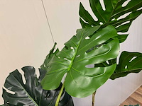 Real touch monstera kunstplant (2x) (190cm hoog) - afbeelding 5 van  16