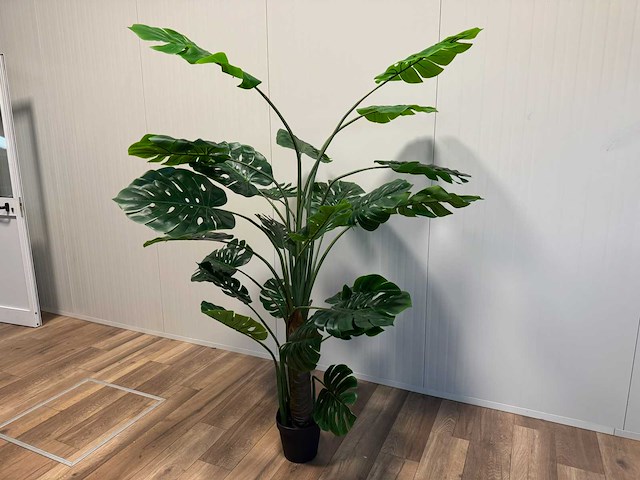 Real touch monstera kunstplant (2x) (215cm hoog) - afbeelding 1 van  13