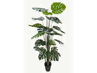 Real touch monstera kunstplant (2x) (215cm hoog) - afbeelding 6 van  13