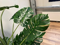 Real touch monstera kunstplant (2x) (215cm hoog) - afbeelding 10 van  13