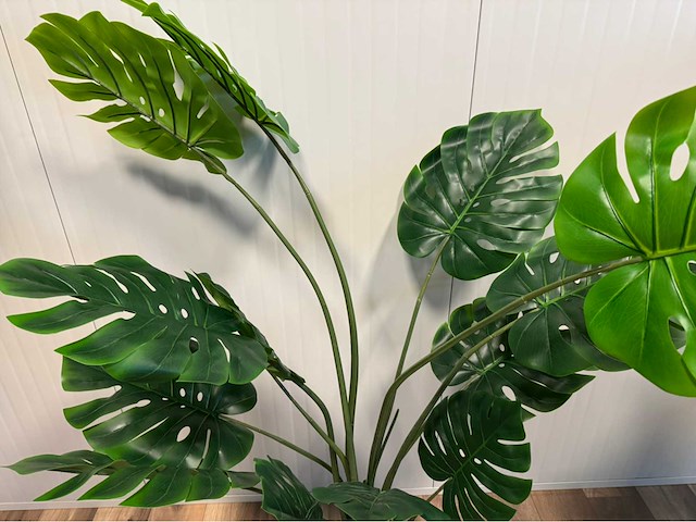 Real touch monstera kunstplant (2x) - afbeelding 7 van  10