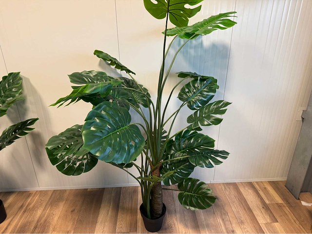 Real touch monstera kunstplant (2x) - afbeelding 8 van  10