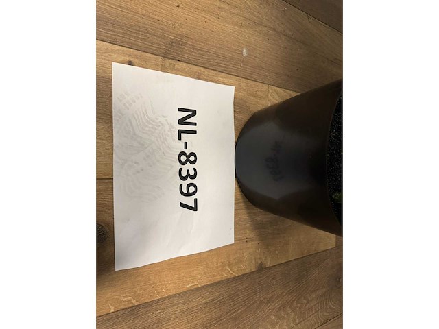 Real touch palm tree kunstplant (260cm hoog) - afbeelding 6 van  14