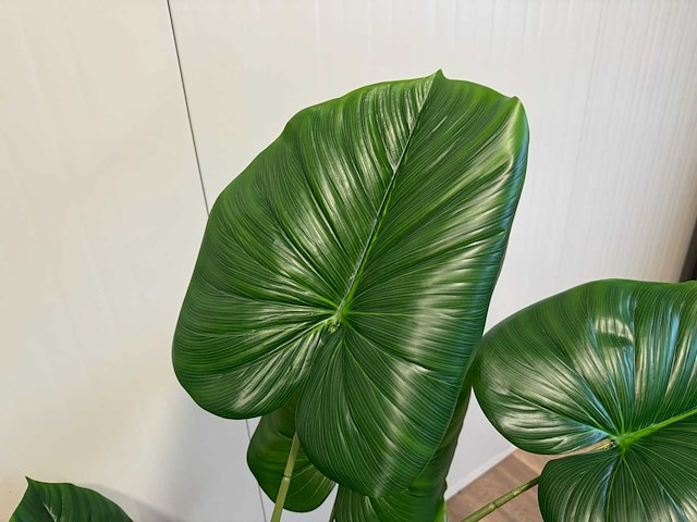 Real touch philodendron kunstplant (135cm hoog) - afbeelding 8 van  11