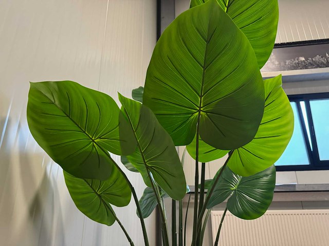Real touch philodendron kunstplant (135cm hoog) - afbeelding 10 van  11