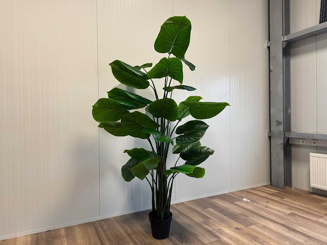 Real touch philodendron kunstplant (210cm hoog) - afbeelding 6 van  12