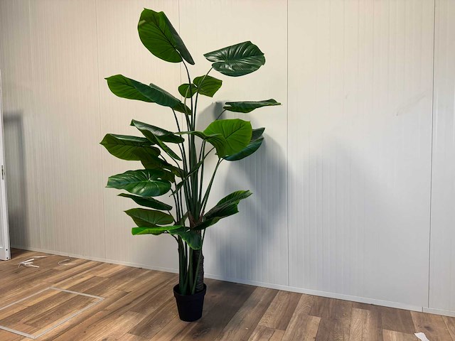 Real touch philodendron kunstplant (210cm hoog) - afbeelding 7 van  12