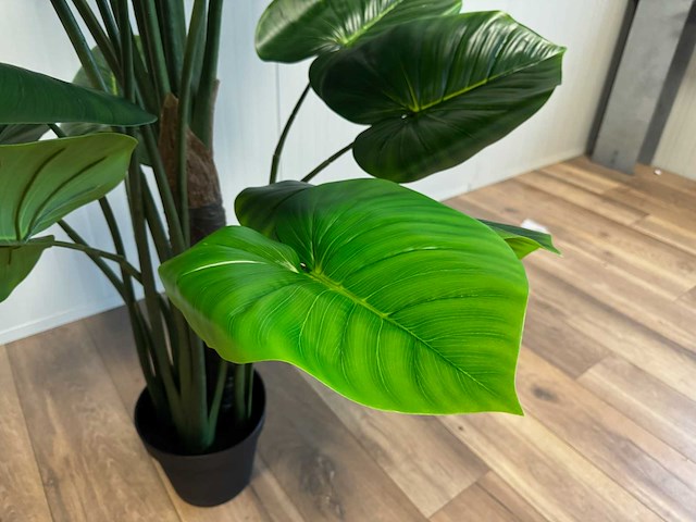 Real touch philodendron kunstplant (210cm hoog) - afbeelding 11 van  12