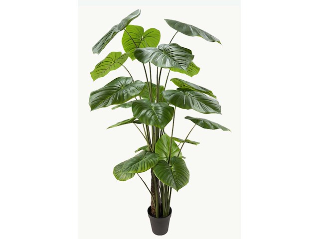 Real touch philodendron kunstplant (210cm hoog) - afbeelding 5 van  12