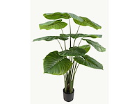 Real touch philodendron kunstplant (2x) (135cm hoog) - afbeelding 4 van  11