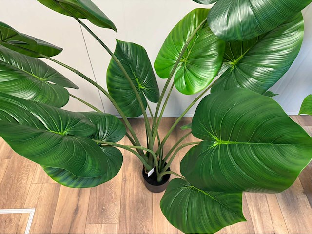 Real touch philodendron kunstplant (2x) - afbeelding 9 van  11