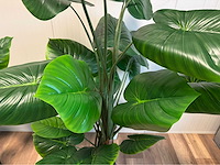 Real touch philodendron kunstplant (2x) - afbeelding 11 van  11