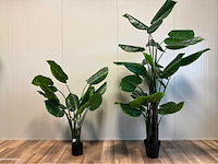 Real touch philodendron kunstplant (2x) - afbeelding 5 van  11