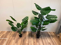 Real touch philodendron kunstplant (2x) - afbeelding 6 van  11