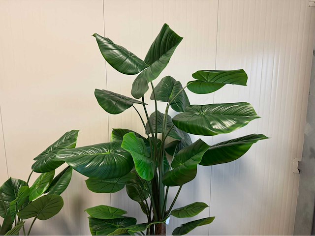 Real touch philodendron kunstplant (2x) - afbeelding 10 van  11