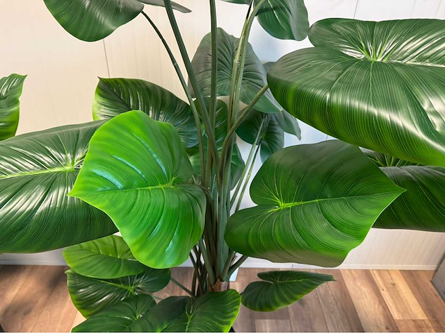Real touch philodendron kunstplant (2x) - afbeelding 11 van  11