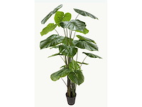 Real touch philodendron kunstplant(210cm hoog) - afbeelding 5 van  12