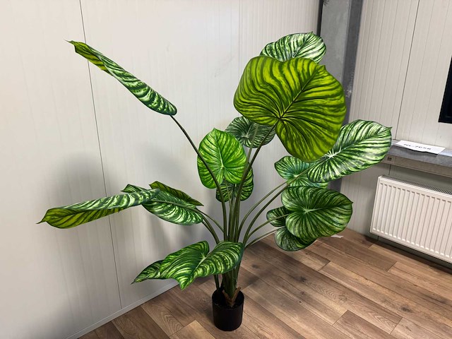 Real touch philodendron white green kunstplant (165cm hoog) - afbeelding 4 van  12