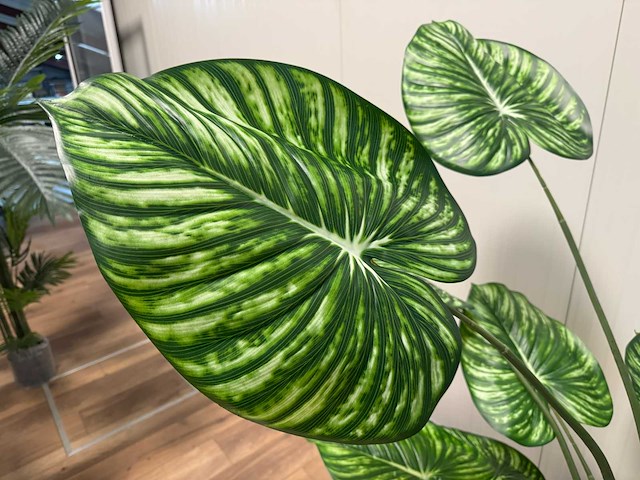 Real touch philodendron white green kunstplant (165cm hoog) - afbeelding 8 van  12