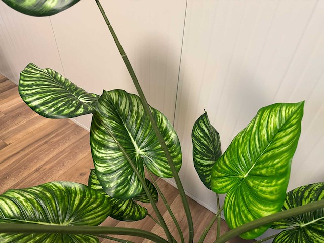 Real touch philodendron white green kunstplant (165cm hoog) - afbeelding 2 van  11