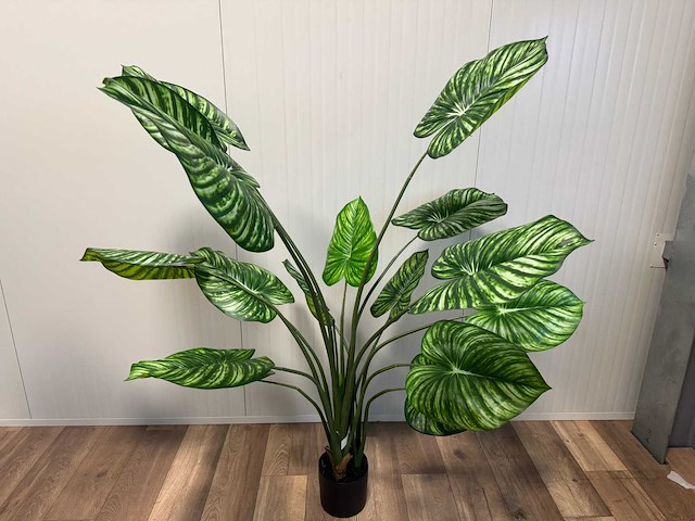 Real touch philodendron white green kunstplant (165cm hoog) - afbeelding 1 van  11