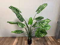 Real touch philodendron white green kunstplant (165cm hoog) - afbeelding 1 van  11