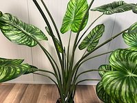 Real touch philodendron white green kunstplant (165cm hoog) - afbeelding 7 van  11