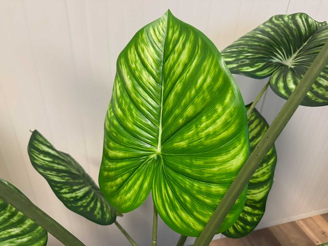Real touch philodendron white green kunstplant (165cm hoog) - afbeelding 11 van  11