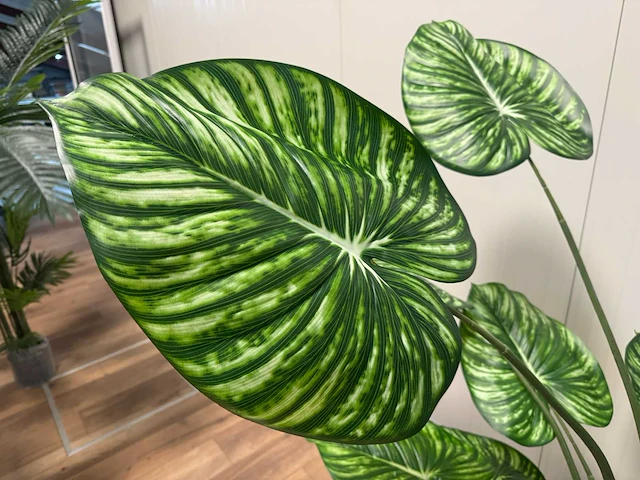 Real touch philodendron white green kunstplant (165cm hoog) - afbeelding 10 van  12
