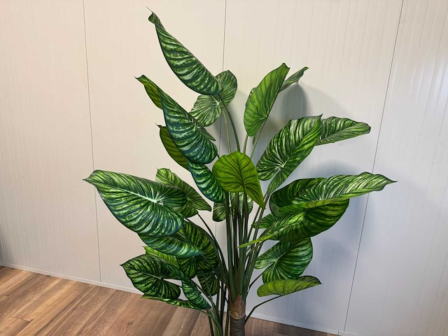 Real touch philodendron white green kunstplant (210cm hoog) - afbeelding 9 van  13